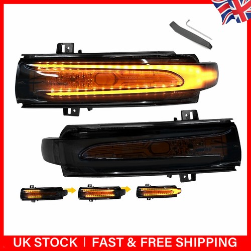 Pair led mirror repeater - mirror,
