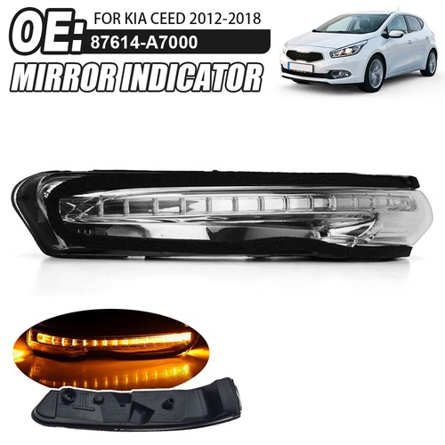Left passenger led wing - passenger, mirror